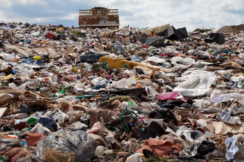 Efficient waste disposal with a domestic skip