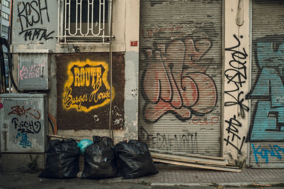 Budget rubbish removal options near Swiss Cottage station